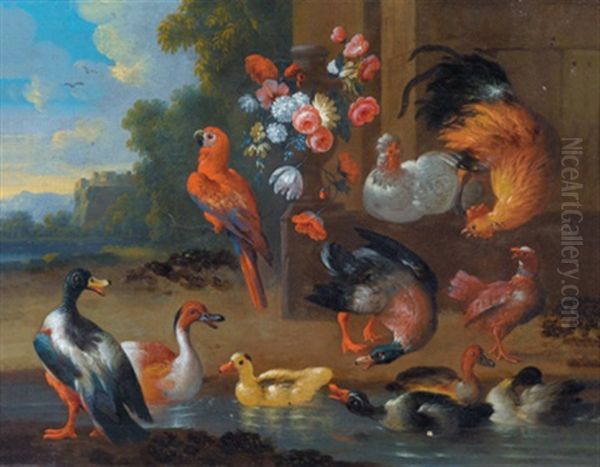 Pagageien, Huhner Und Enten An Einem Teich Oil Painting by Pieter Casteels III