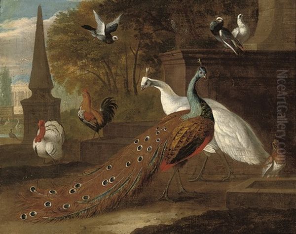 A Peacock, A Peahen, A Turkey, A Cockeral And Pigeons In A Classical Landscape Oil Painting by Pieter Casteels III