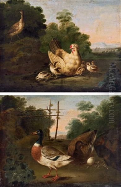 Geflugel In Einer Landschaft (+ Enten In Einer Landschaft; Pair) Oil Painting by Pieter Casteels III