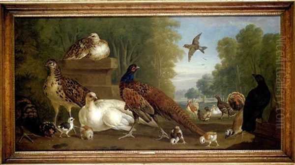 Pheasants, Poultry And Other Birds In A Formal Park Oil Painting by Pieter Casteels III