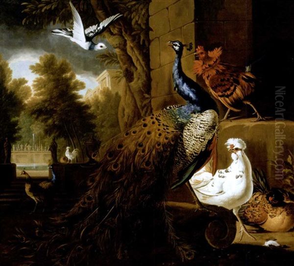 A Peacock And Chickens With Other Birds Beyond In The Garden Of A Neoclassical Villa Oil Painting by Pieter Casteels III