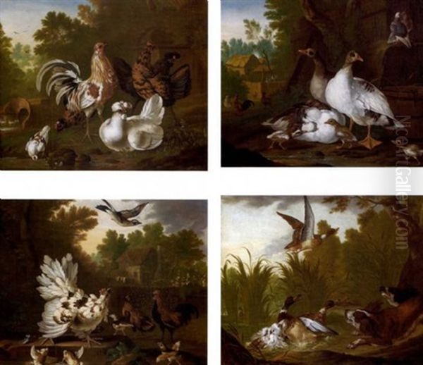 Compositions Avec Des Oiseaux De Basse-cour (set Of 4) Oil Painting by Pieter Casteels III