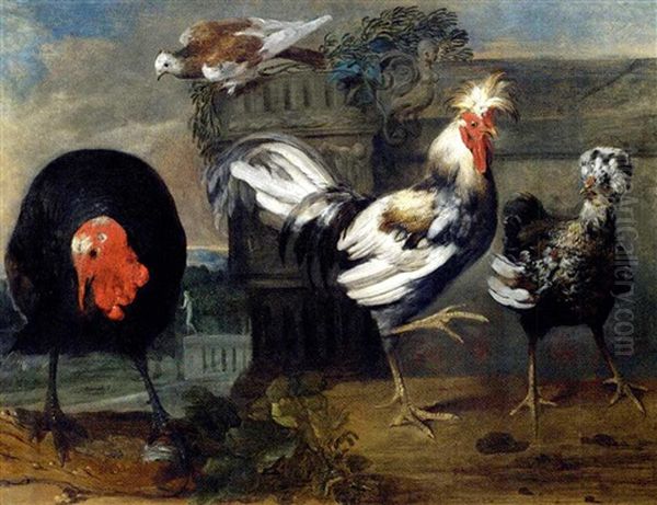 Two Crested Chickens, A Turkey And A Dove In An Architectural Landscape Oil Painting by Pieter Casteels III