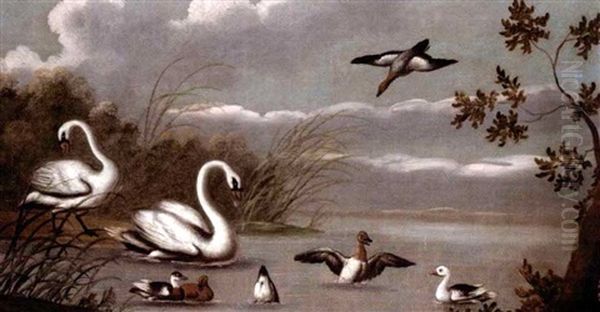 A River Landscape With Swans And Ducks Oil Painting by Pieter Casteels III