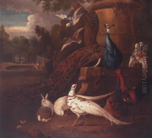 Peacocks, White Pheasants, Doves, A Hen, A Cockerel, A Rabbit, Together In A Parkland Landscape Oil Painting by Pieter Casteels III