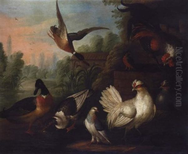 A Still Life With Chickens, Ducks, A Kingfisher And A Pigeon In A River Landscape Oil Painting by Pieter Casteels III