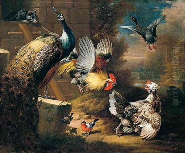 A Still Life Of Fowl, With A Cat Chasing Bantams From A Chicken Coop, A Peacock In The Foreground Oil Painting by Pieter Casteels III