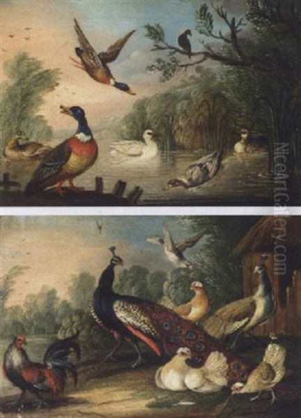 Peacock, Peahen And Other Fowl In A Landscape Oil Painting by Pieter Casteels III