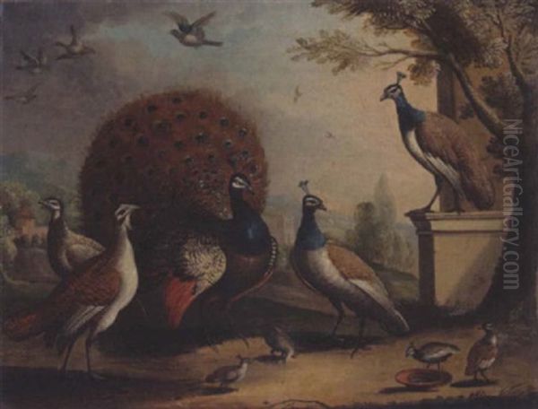 A Peacock And Peahens In An Ornamental Landscape Oil Painting by Pieter Casteels III