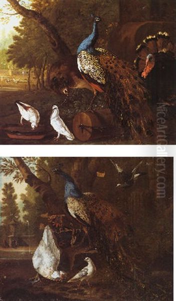 Assembly Of Birds In A Park Oil Painting by Pieter Casteels III