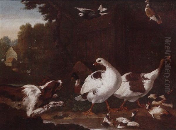 Spaniels Startling Geese And Ducks In A Farmyard by Pieter Casteels III