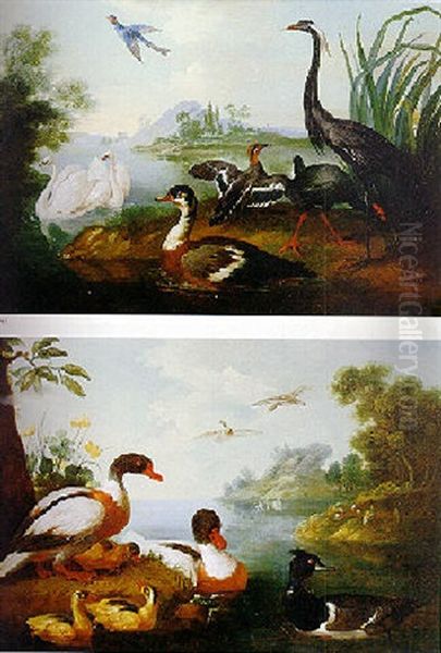 Waterfowl In A Landscape Oil Painting by Pieter Casteels III