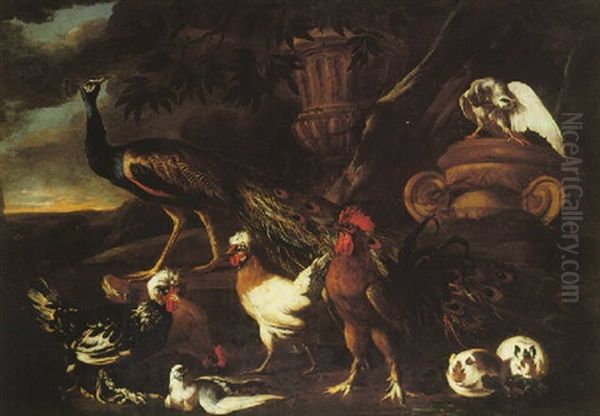 A Peacock Cockerel, Hens, Guinea, Pigs And Pigeons In A Landscape Oil Painting by Pieter Casteels III