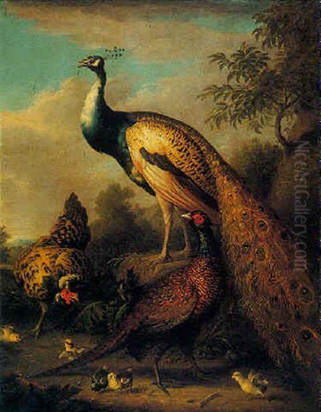 A Peacock, Hen And Cock Pheasant In A Landscape Oil Painting by Pieter Casteels III