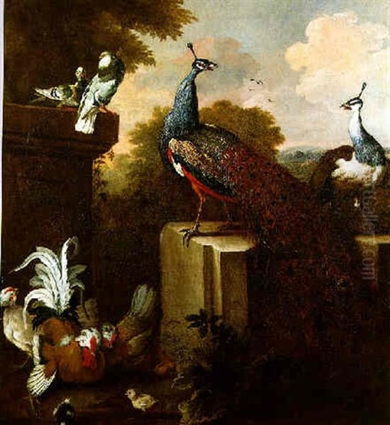 A Peacock And Peahen Standing On A Stone Pedestal In A Garden With A Cockerel, Hens, Chicks And Pigeons Oil Painting by Pieter Casteels III