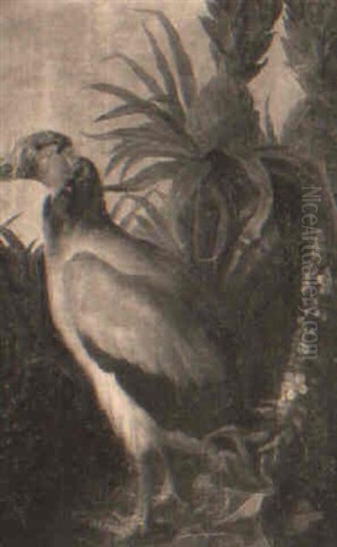 A Vulture By A Pineapple Tree by Pieter Casteels III