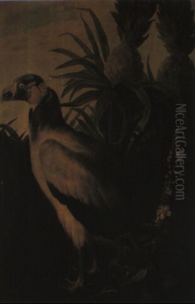 A Vulture By A Pineapple Tree Oil Painting by Pieter Casteels III