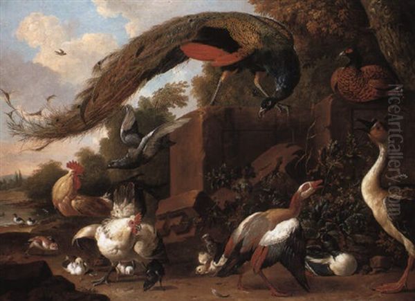 Peacock, Ducks, Pheasant And Other Birds By A Plinth Oil Painting by Pieter Casteels III