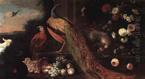 Peacock, Peahen And Cockatoo With Fruit And Flowers In A Landscape Oil Painting by Pieter Casteels III