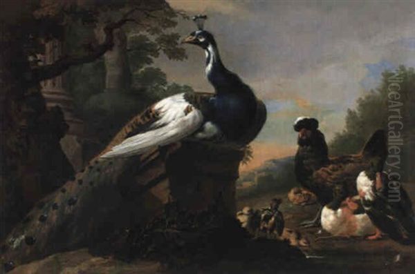 Sitzender Pfau, Enten, Ein Huhn Und K_ken Am Wasser Oil Painting by Pieter Casteels III