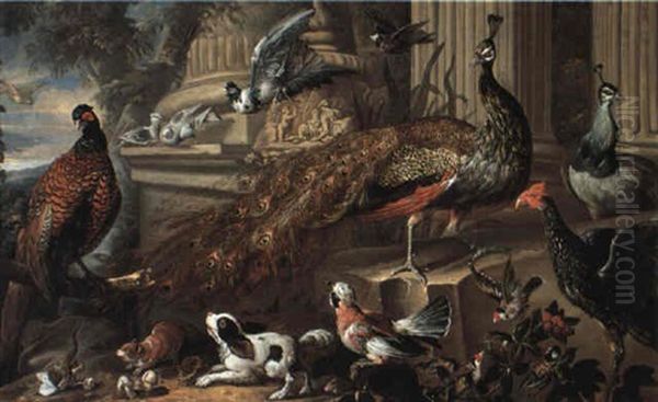 A Peacock And A Peahen And Other Birds, A Dog And A Weasel Oil Painting by Pieter Casteels III