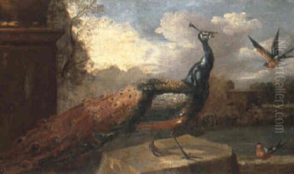 A Peacock And Other Birds In A Landscape Oil Painting by Pieter Casteels III