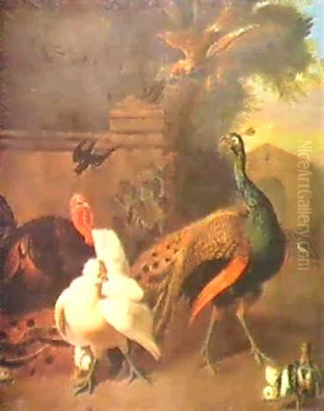 A Peacock, Turkey, Chicken And Chicks.... Oil Painting by Pieter Casteels III