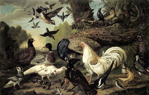 A Peacock, White Pheasant, Magpie And Other Birds In A Wooded Landscape Oil Painting by Pieter Casteels III