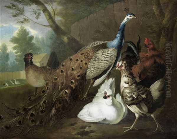 A Peacock And Other Fowl In A Farmyard Oil Painting by Pieter Casteels the Elder