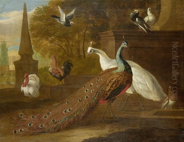 Peacock And Other Fowl In A Park Oil Painting by Pieter Casteels the Younger