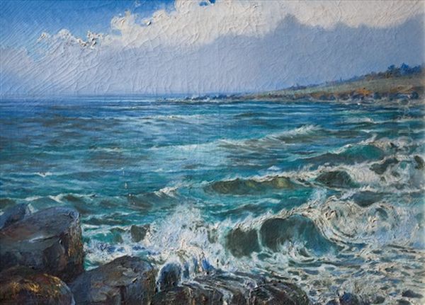 Barra De Maldonado Oil Painting by Roberto Castellanos