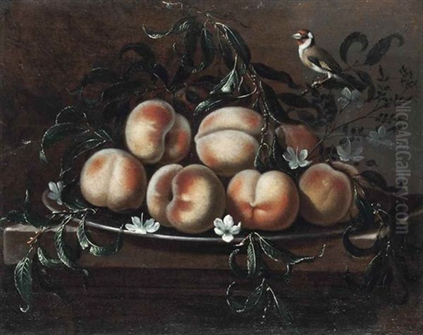 Peaches And Jasmine On A Pewter Platter, With A Goldfinch, On A Stone Ledge Oil Painting by Giovanni Paolo Castelli (lo Spadino)