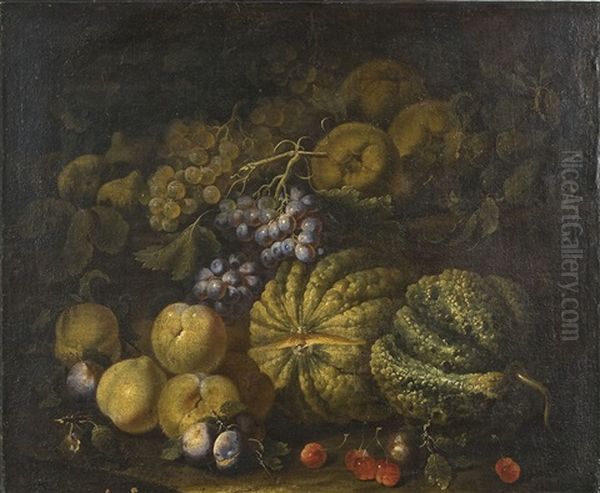 Natura Morta Con Uva E Frutta Oil Painting by Giovanni Paolo Castelli (lo Spadino)