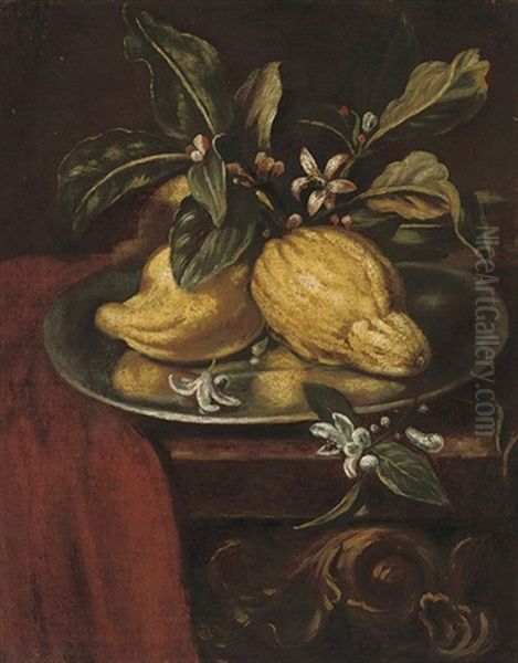 Lemons And Blossom On A Partly-draped Table Oil Painting by Giovanni Paolo Castelli (lo Spadino)