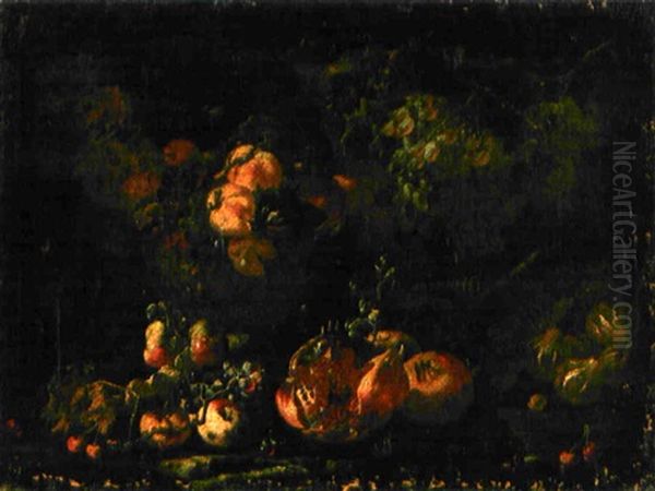 Nature Morte Aux Raisins, Peches Et Grenades Oil Painting by Giovanni Paolo Castelli (lo Spadino)