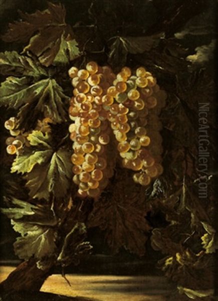 Natura Morta Con Uva (+ Another; Similar; Pair) Oil Painting by Giovanni Paolo Castelli (lo Spadino)