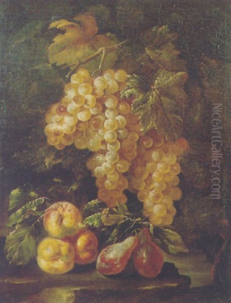 Bunches Of Grapes Hanging From A Vine With Peaches And Plums On A Rock Oil Painting by Giovanni Paolo Castelli (lo Spadino)