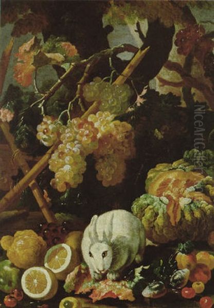 Frutta In Un Giardino E Un Coniglio Oil Painting by Giovanni Paolo Castelli (lo Spadino)