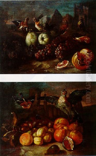 Nature Morte Aux Fruits Et Aux Oiseaux Oil Painting by Giovanni Paolo Castelli (lo Spadino)