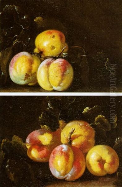 Natures Mortes Aux Peches Oil Painting by Giovanni Paolo Castelli (lo Spadino)