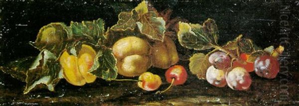 Nature Morte Aux Cerises, Prunes Et Peches Oil Painting by Giovanni Paolo Castelli (lo Spadino)