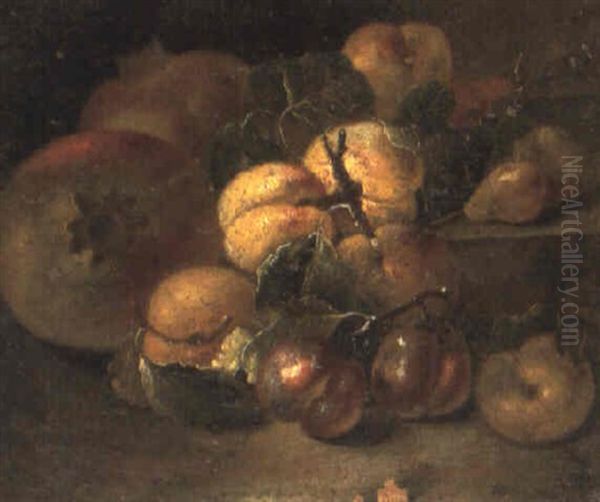 Pomegranates, Plums And Pears On A Stone Ledge Oil Painting by Giovanni Paolo Castelli (lo Spadino)