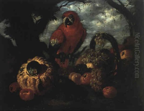 Nature Morte Au Perroquet Oil Painting by Giovanni Paolo Castelli (lo Spadino)