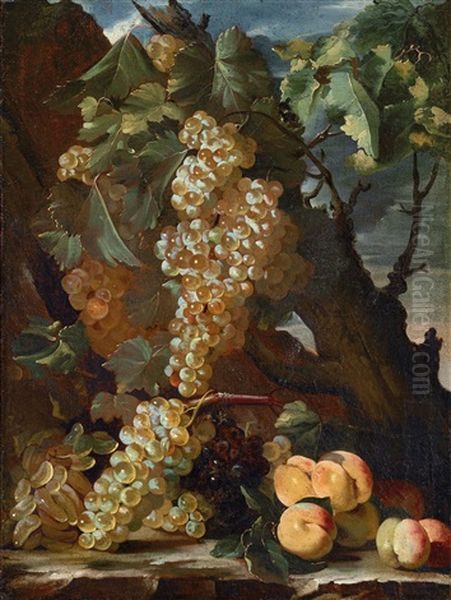 Still Life With Grapes And Peaches Oil Painting by Bartolomeo Castelli the Elder