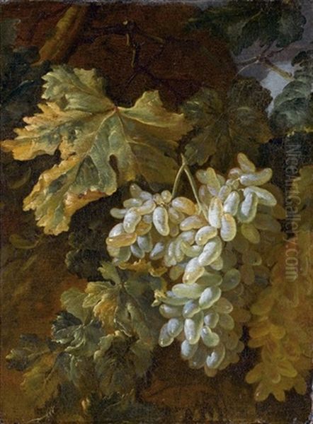 Uva Oil Painting by Bartolomeo Castelli the Elder