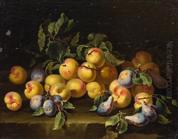 Fruit Still Life With Plums Oil Painting by Bartolomeo Castelli the Younger