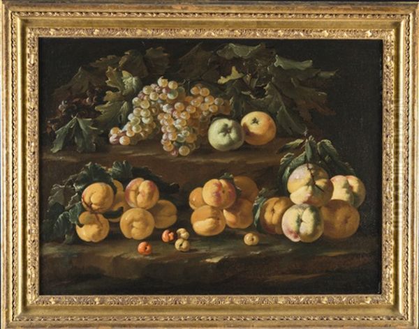 Natura Morta Con Frutta Oil Painting by Bartolomeo Castelli the Younger