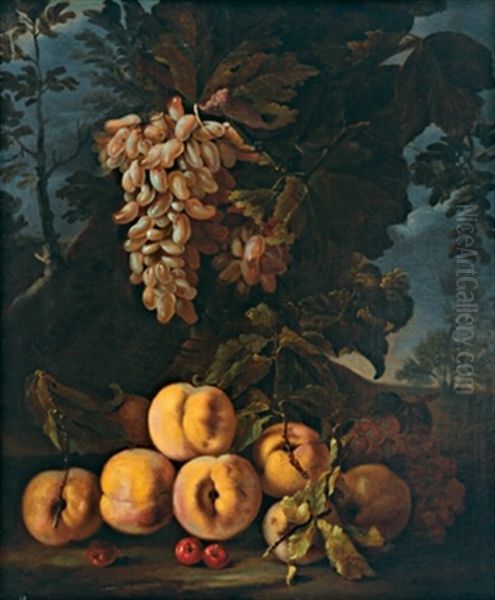 Natura Morta Con Uva E Pesche Oil Painting by Bartolomeo Castelli the Younger