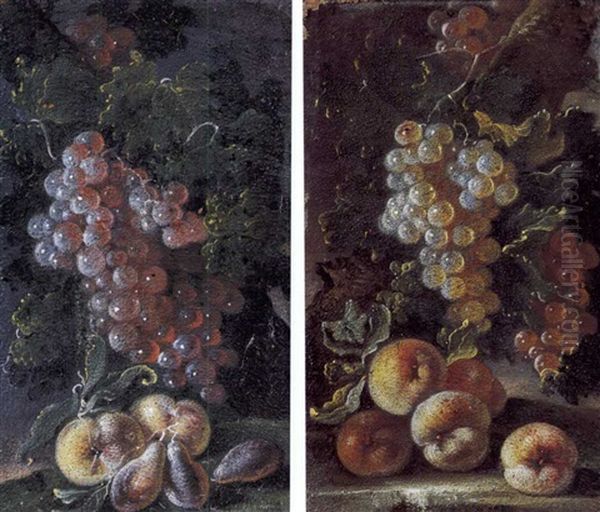 Uva Nera, Pesche E Prugne (+ Uva Bianca E Pesche; 2 Works) Oil Painting by Bartolomeo Castelli the Younger