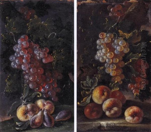 Uva Nera, Pesche E Prugne Oil Painting by Bartolomeo Castelli the Younger